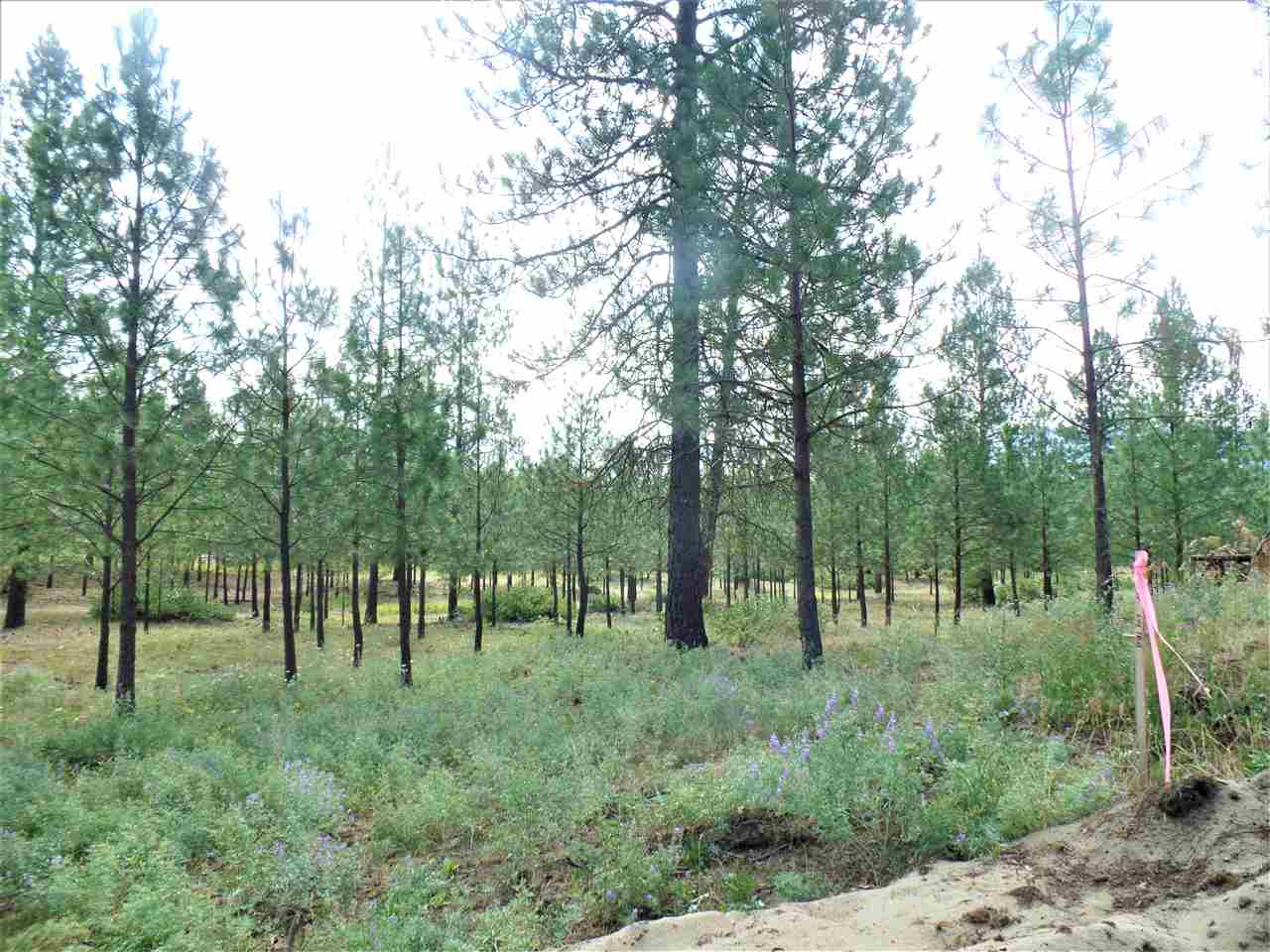 Lot 109 Old Kettle Road Kettle Falls, WA 99141 - Photo 10 of 13 Gallery Image 10