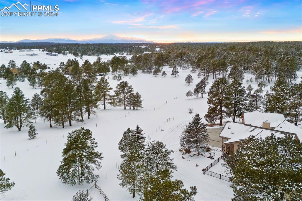 17115 Goshawk Road Colorado Springs, CO 80908 - Photo 44 of 50