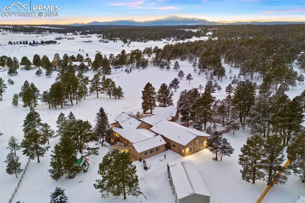 17115 Goshawk Road Colorado Springs, CO 80908 - Photo 46 of 50