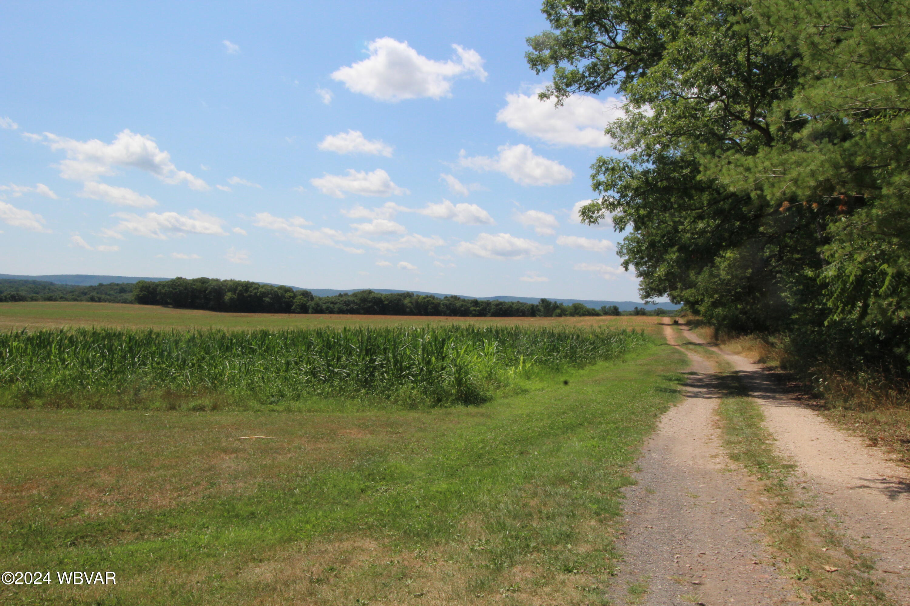 170 Scenic View Road Pine Grove, PA 17963 - Photo 69 of 100 IMG_4046