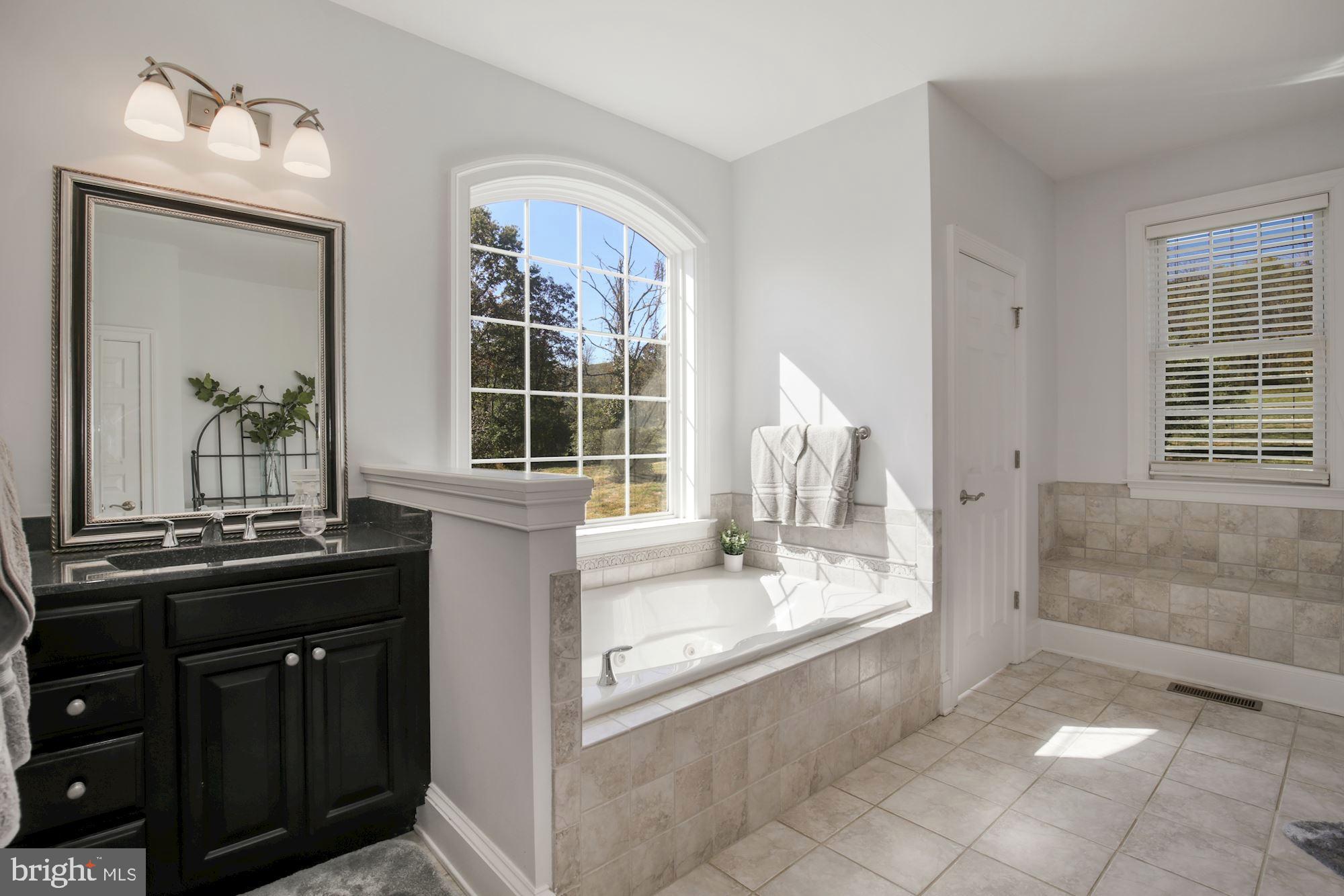 33415 Austin Grove Road Bluemont, VA 20135 - Photo 31 of 58 Main level ensuite w/Jacuzzi and sep shower