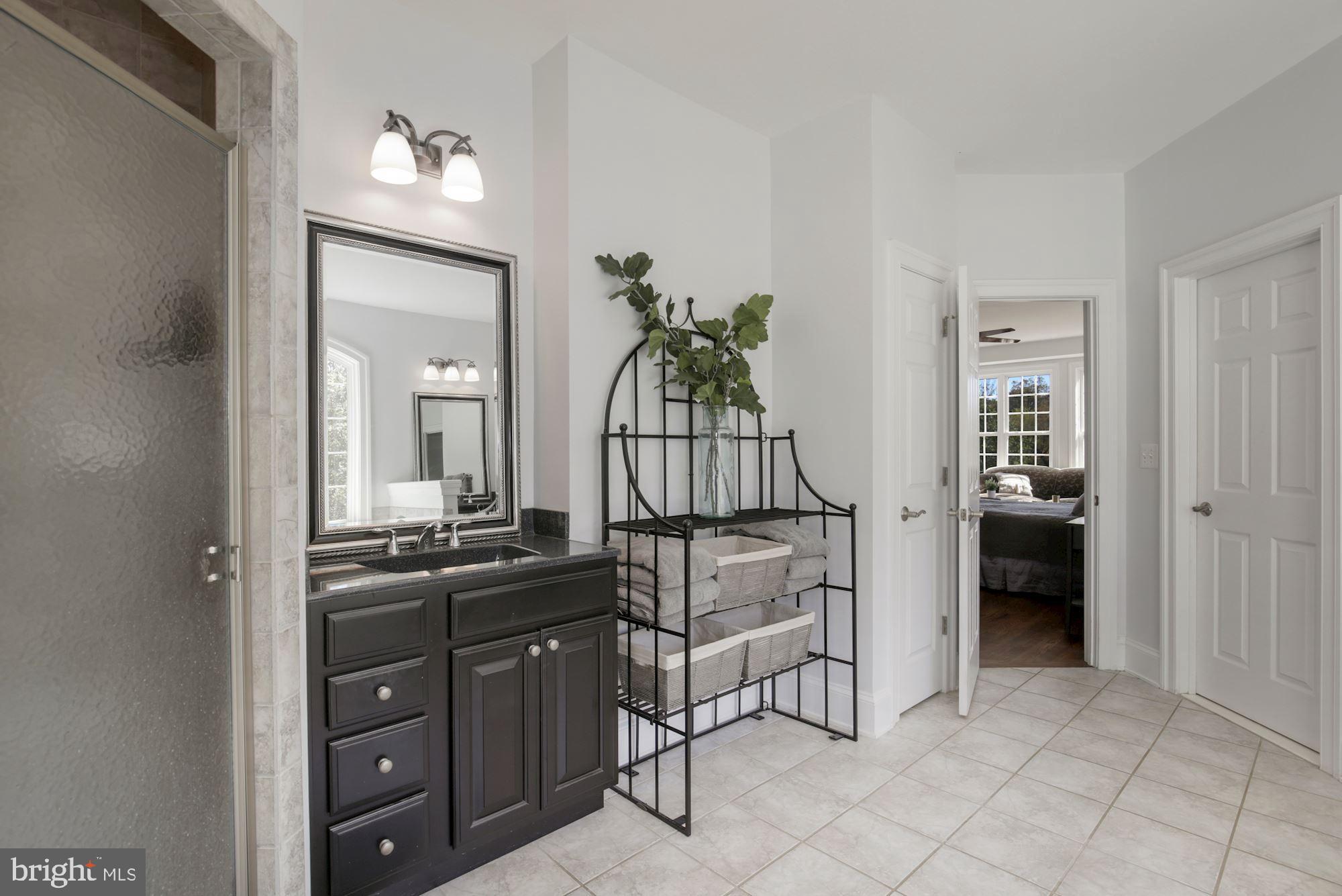 33415 Austin Grove Road Bluemont, VA 20135 - Photo 32 of 58 Main level bath and large walk in closet