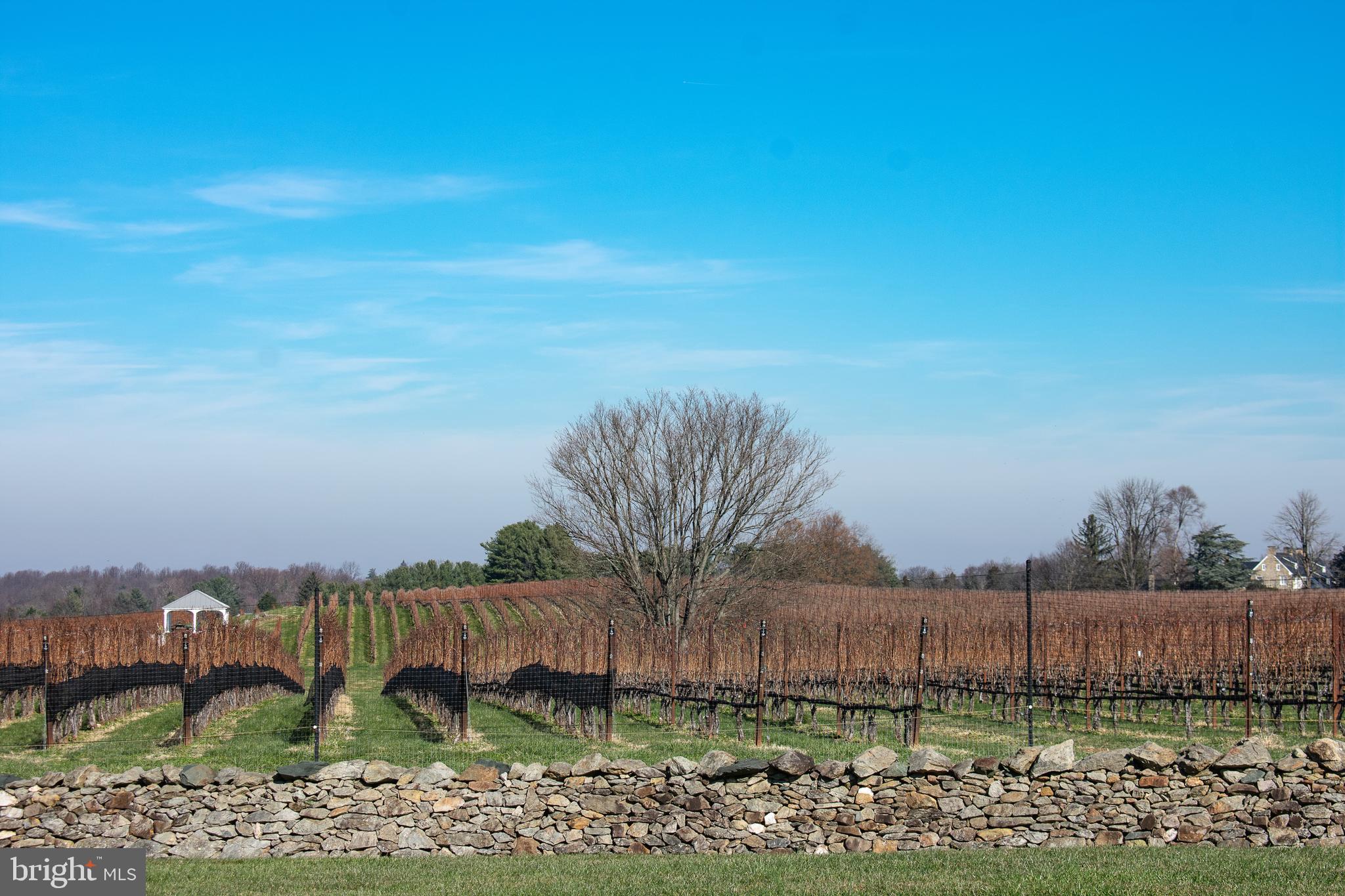 33415 Austin Grove Road Bluemont, VA 20135 - Photo 57 of 58 nearby wineries