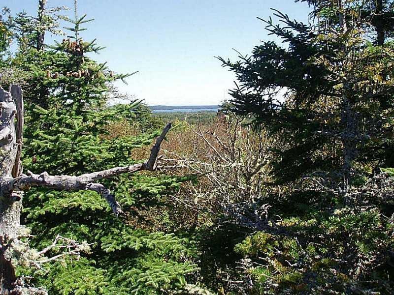 Lot 33 County Road Lubec, ME 04652 - Photo 4 of 9 Photo