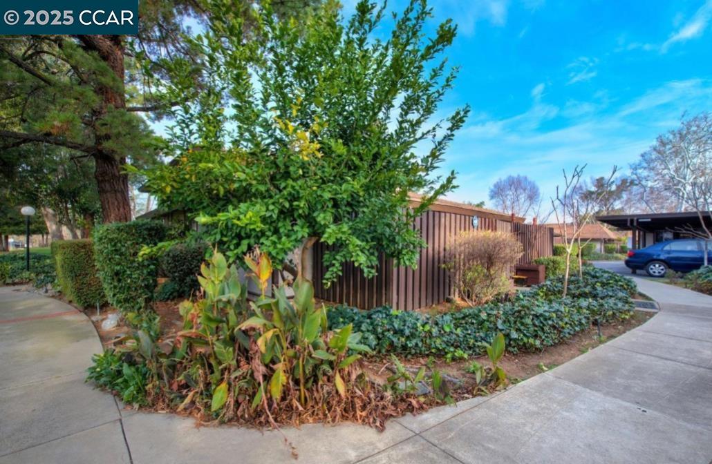 5434 Roundtree Court, Unit C Concord, CA 94521 - Photo 2 of 23 a front view of a house with garden