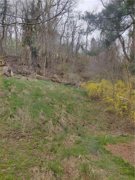 2066 Lindsay Road Pittsburgh, PA 15221 - Photo 13 of 13 Greenery in back yard