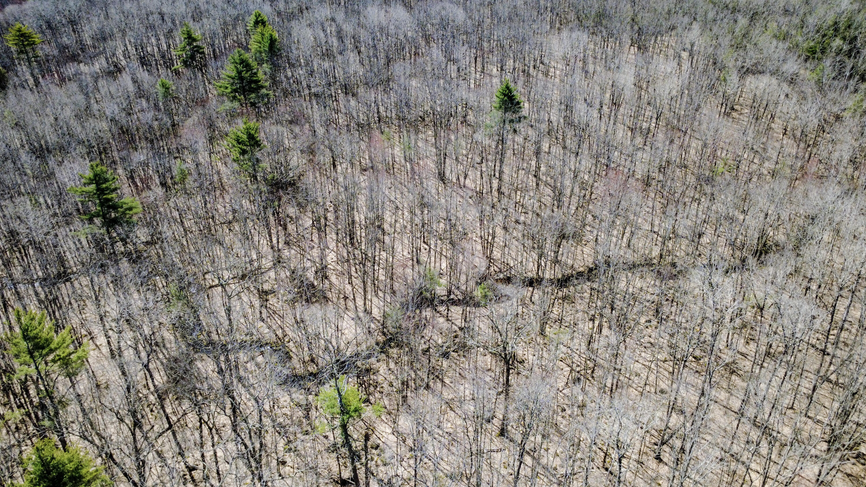 007 Map Hollis Center, ME 04042 - Photo 13 of 29 HollisMap7Lot38-21