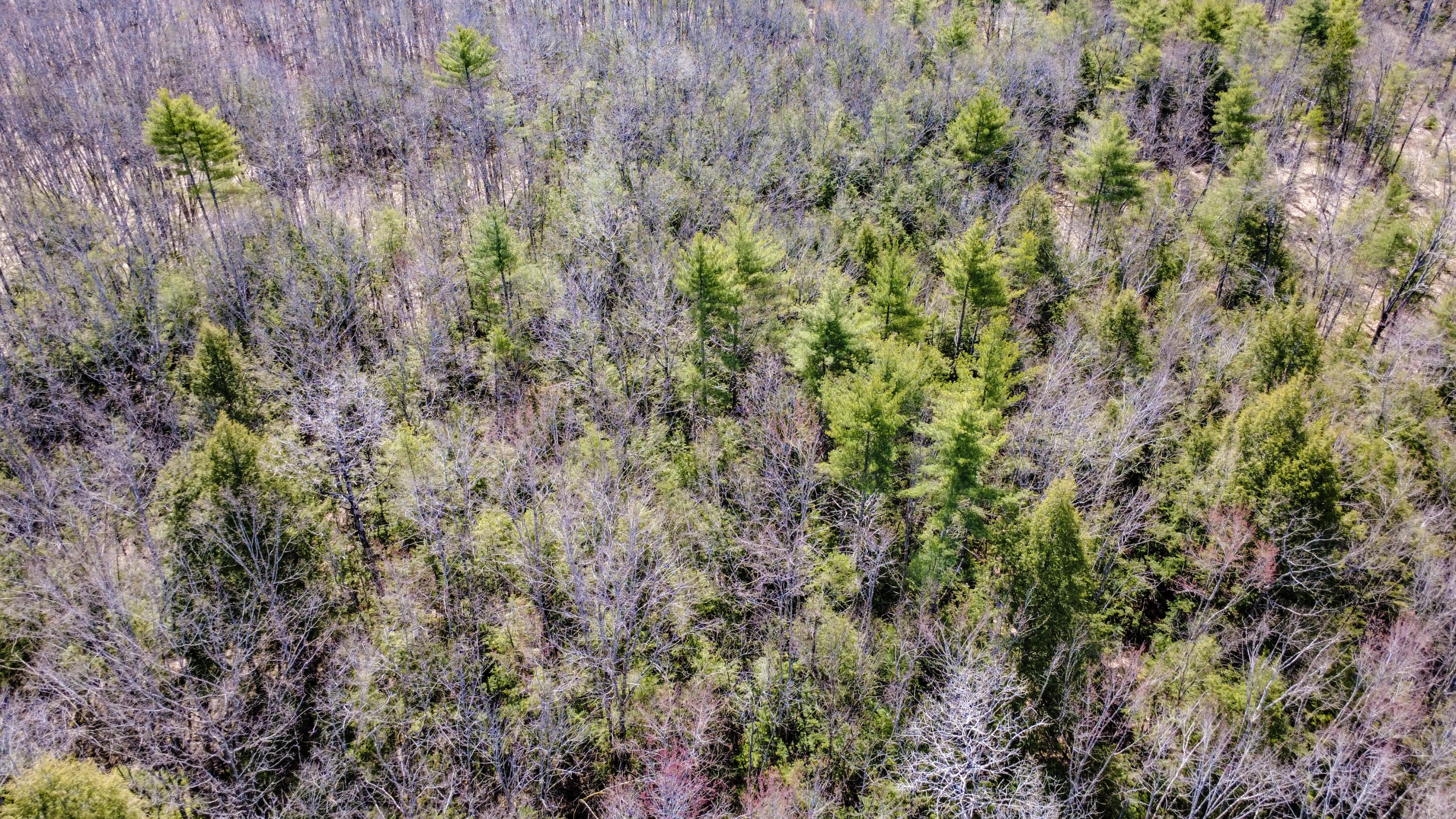 007 Map Hollis Center, ME 04042 - Photo 15 of 29 HollisMap7Lot38-17