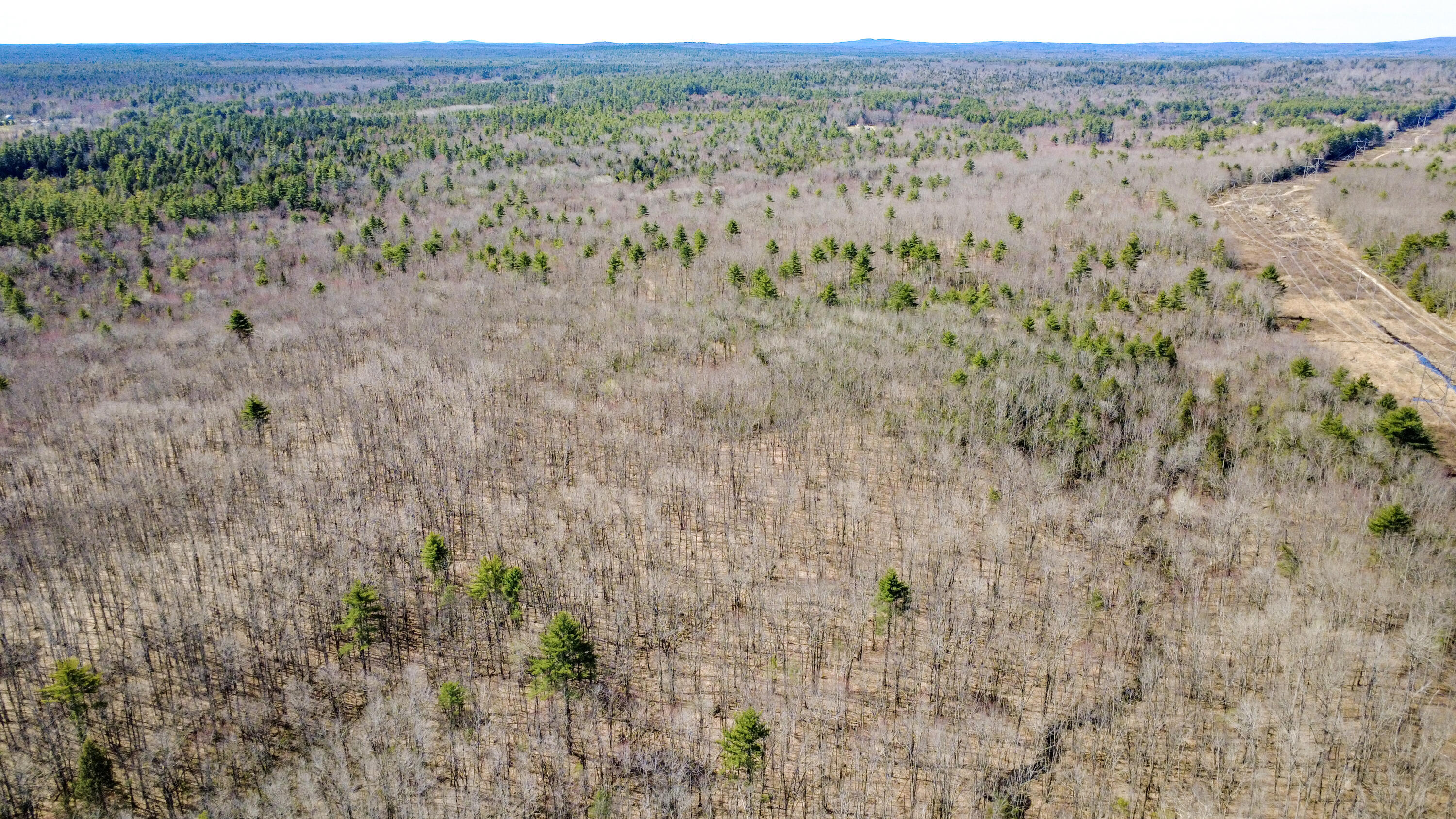 007 Map Hollis Center, ME 04042 - Photo 22 of 29 HollisMap7Lot38-6