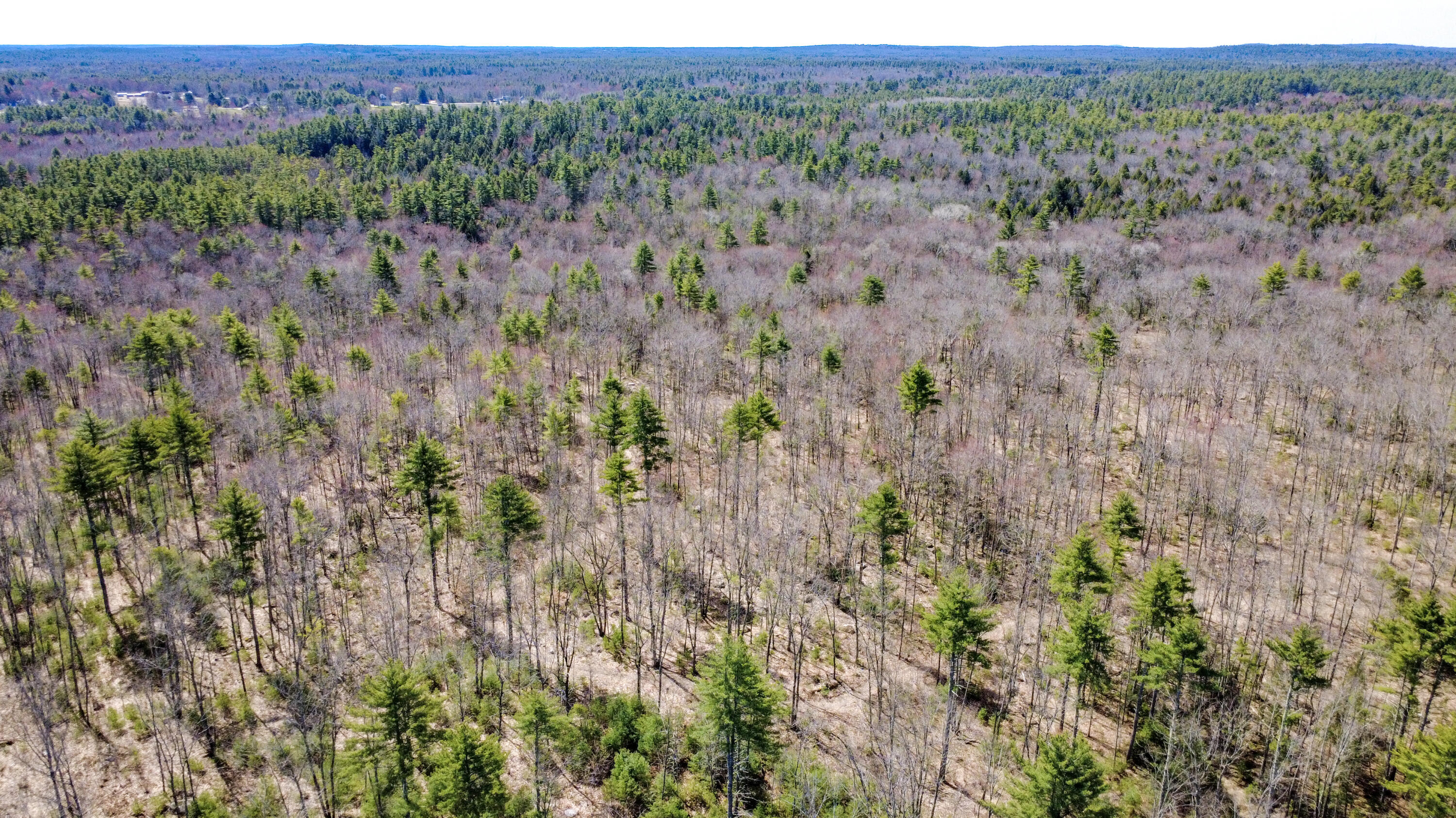 007 Map Hollis Center, ME 04042 - Photo 8 of 29 HollisMap7Lot38-20