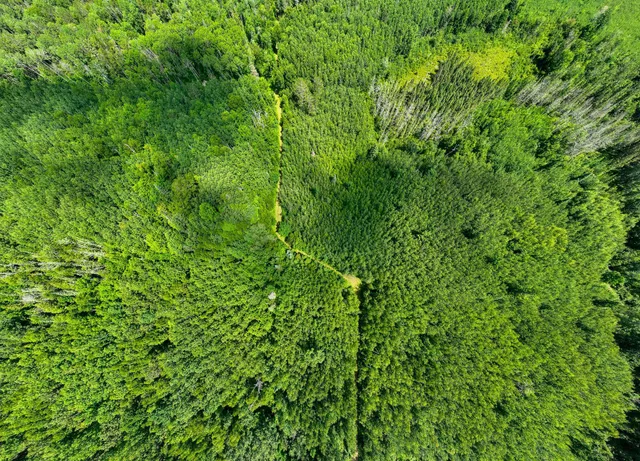 $849,000 | 5 Sago 5, Swan River, MN 55784