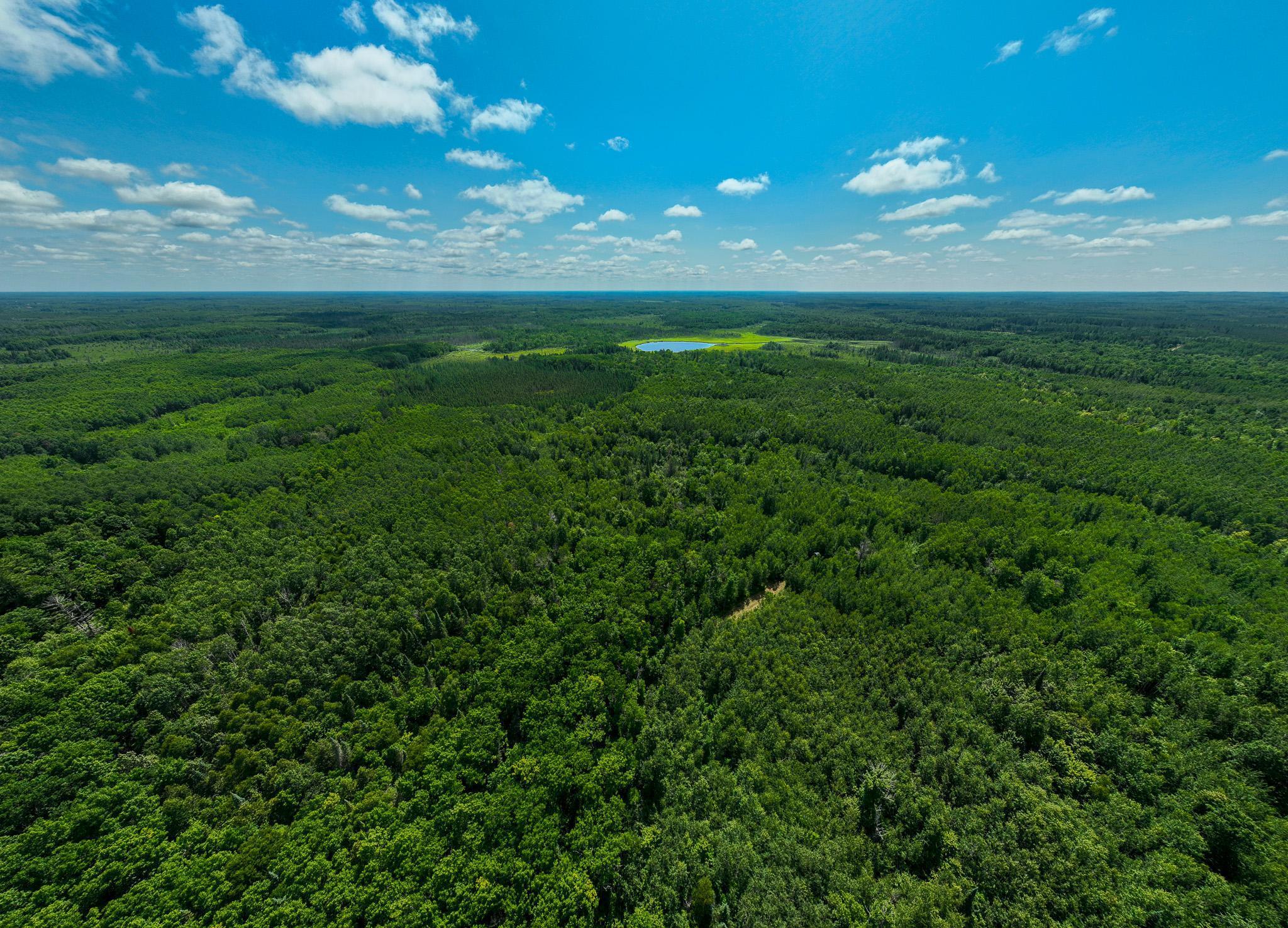 5 Sago 5 Swan River, MN 55784 - Photo 19 of 22