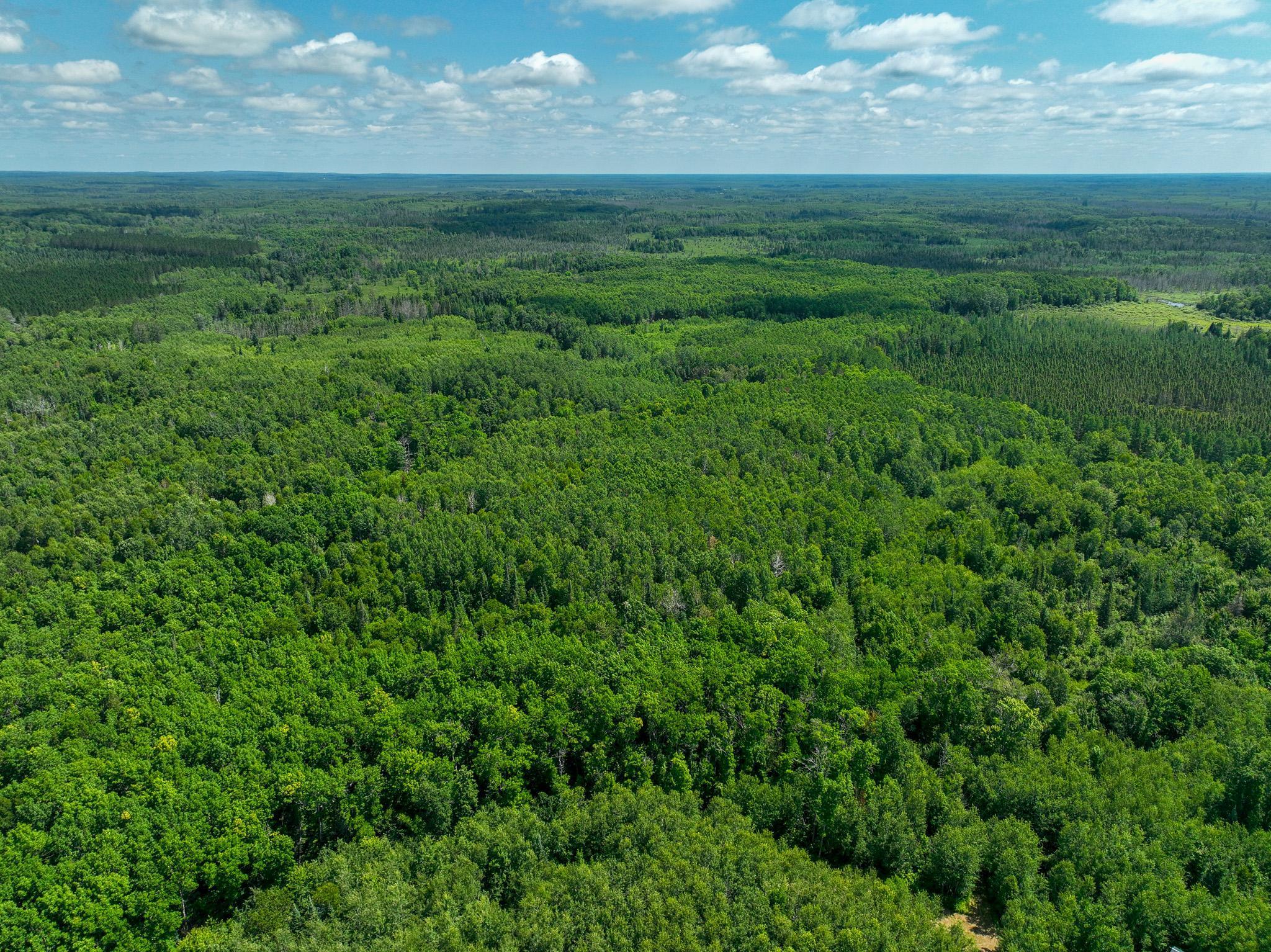 5 Sago 5 Swan River, MN 55784 - Photo 20 of 22