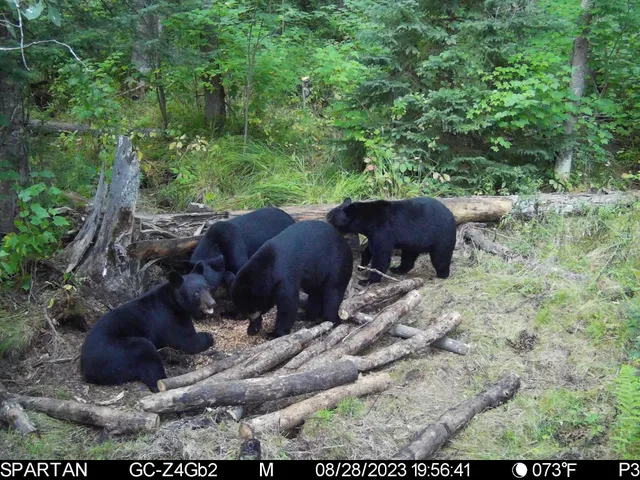 $849,000 | 5 Sago 5, Swan River, MN 55784