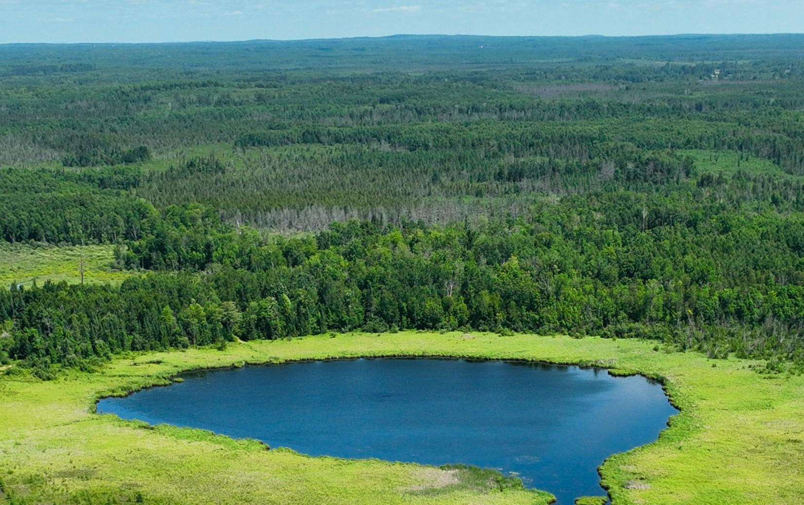 5 Sago 5 Swan River, MN 55784 - Photo 7 of 22