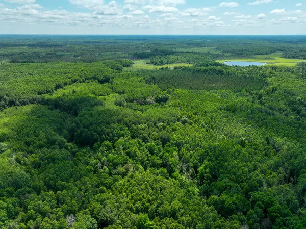 $849,000 | 5 Sago 5, Swan River, MN 55784