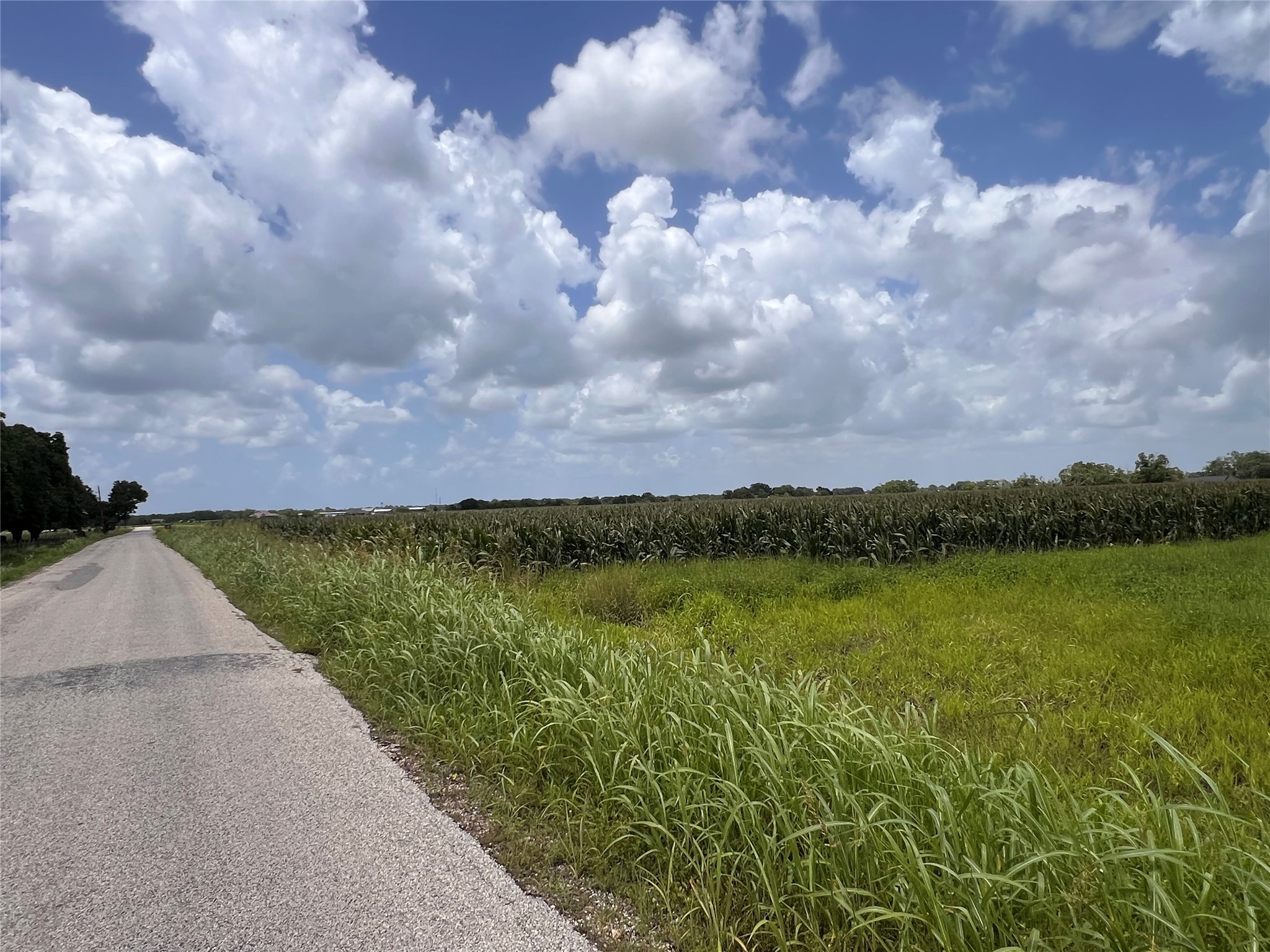Lot 1 Tract 2 Svoboda Road Wallis, TX 77485 - Photo 5 of 5 a view of a lake with houses in back