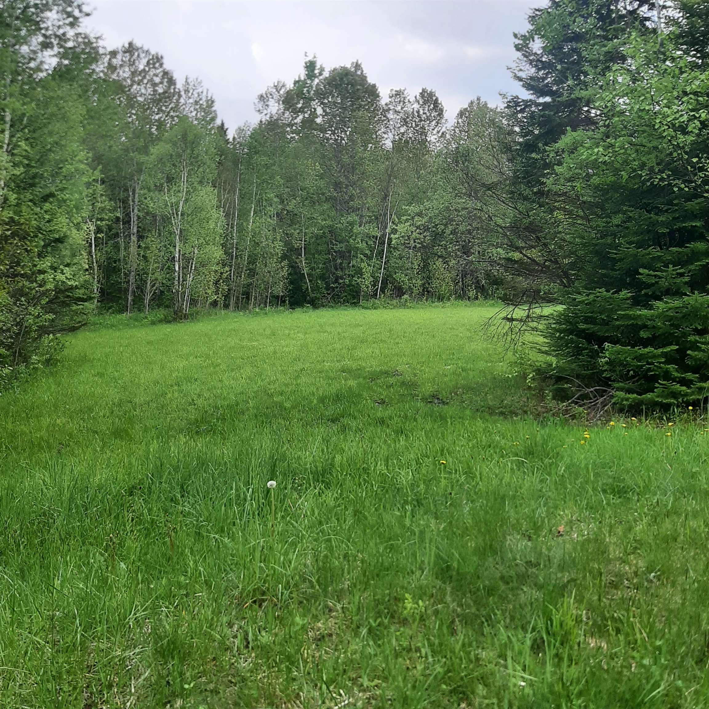 Hill Road Colebrook, NH 03576 - Photo 5 of 6
