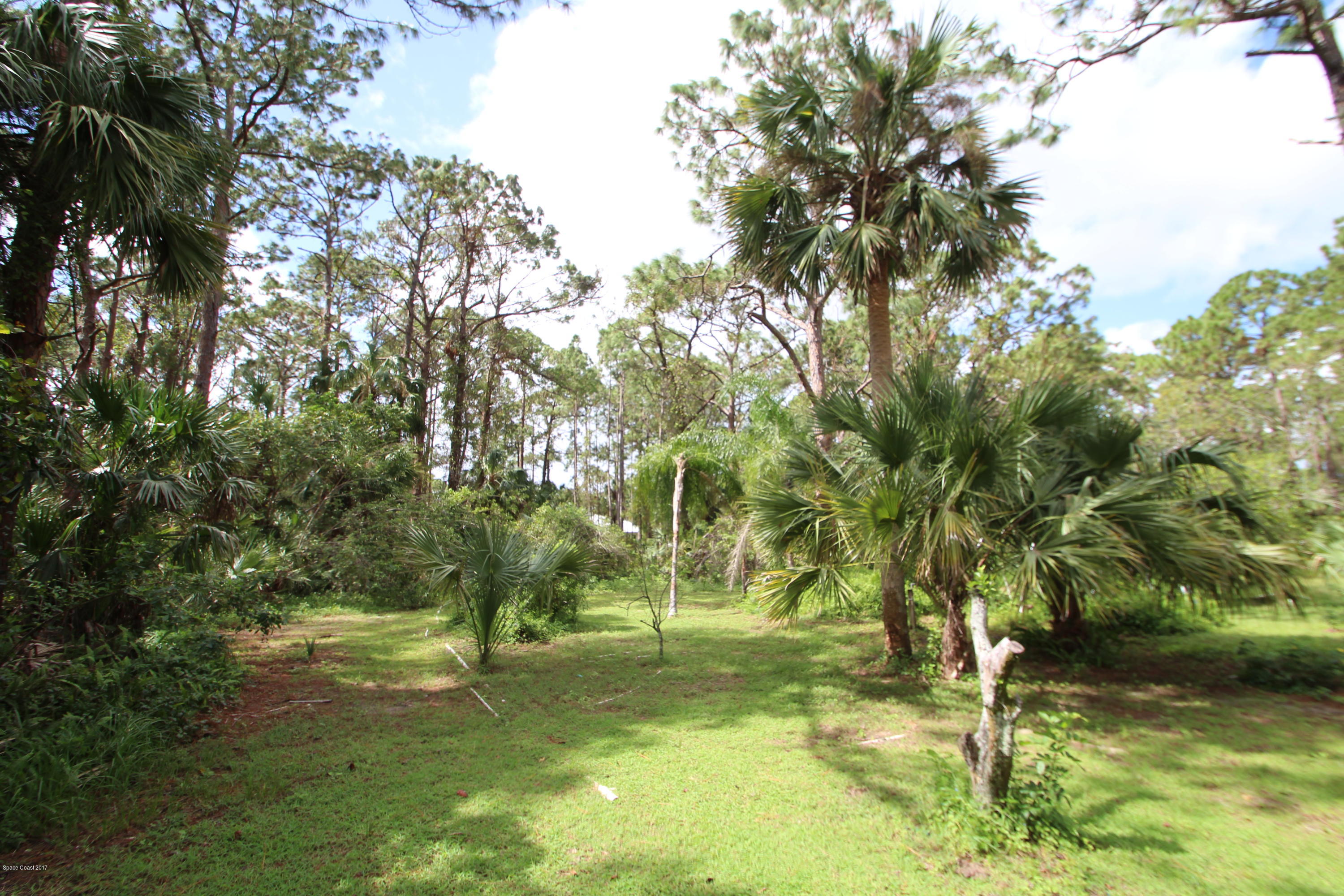 1666 Emmaus Road Northwest Palm Bay, FL 32907 - Photo 14 of 15 a view of yard