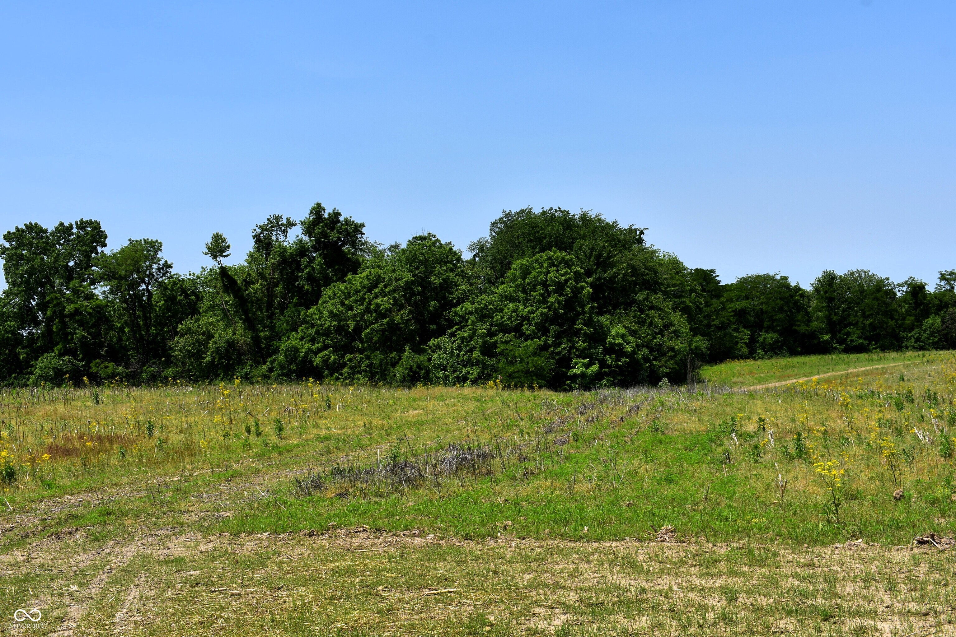 0 Whitetail Ridge Mooresville, IN 46158 - Photo 6 of 8