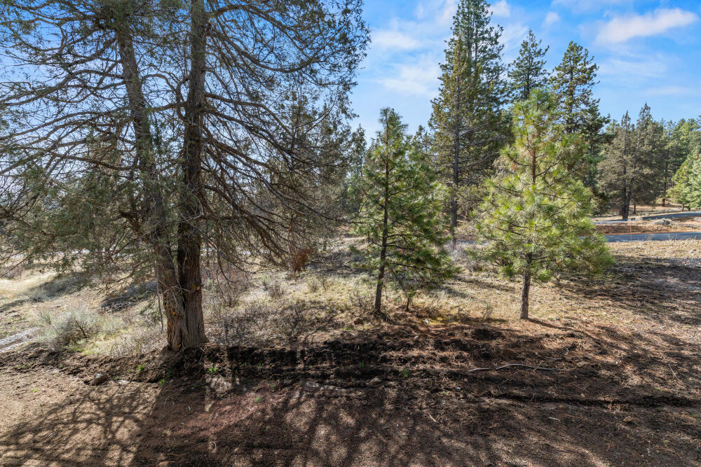 1092 Timber Ridge Loop Klamath Falls, OR 97601 - Photo 31 of 79