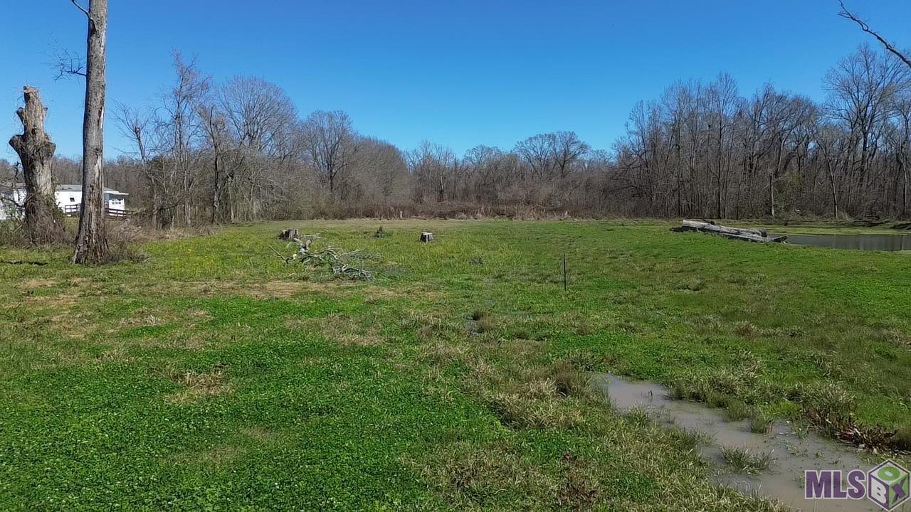 9366 Poirrier Road St. Amant, LA 70774 - Photo 2 of 9