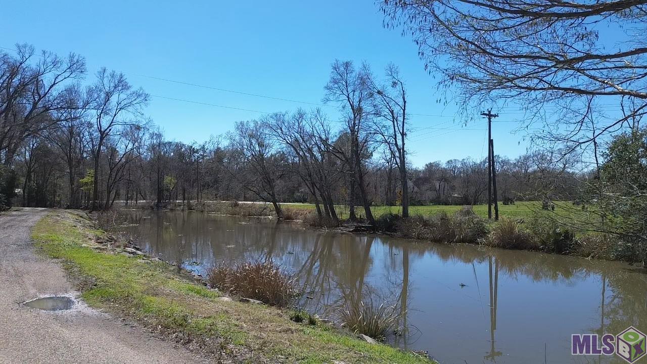 9366 Poirrier Road St. Amant, LA 70774 - Photo 5 of 9