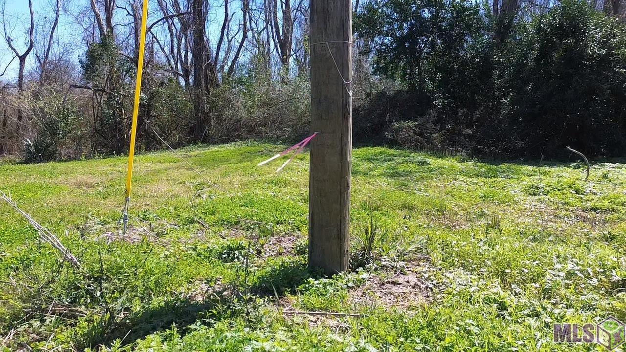 9366 Poirrier Road St. Amant, LA 70774 - Photo 9 of 9