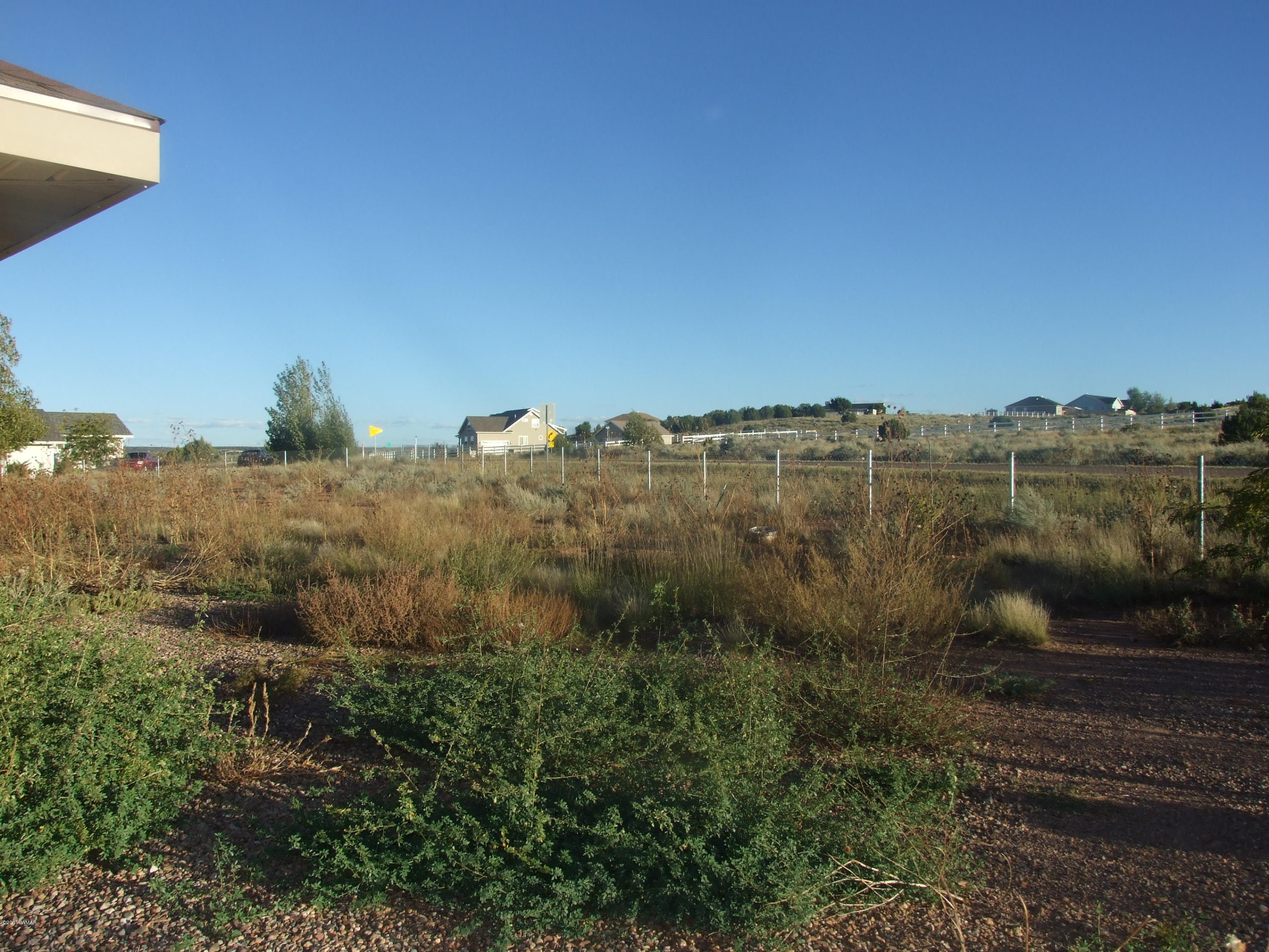 2887 South Bourdon Ranch Road Taylor, AZ 85939 - Photo 24 of 24 a view of a dry yard
