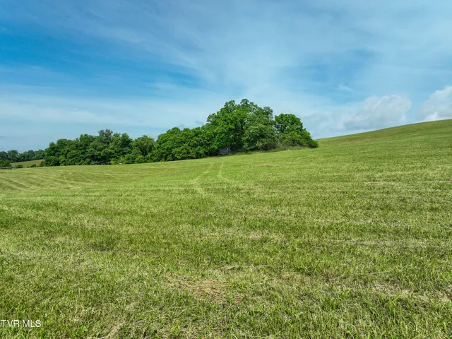 $44,000 | Lot 3 Wayside Meadows Road, Nickelsville, VA 24271