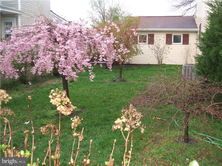 125 North Fairview Street Riverside, NJ 08075 - Photo 14 of 15