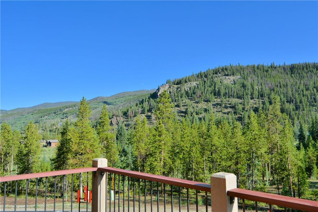 850 Independence Road, Unit 3C Keystone, CO 80435 - Photo 15 of 25 a view of a green field