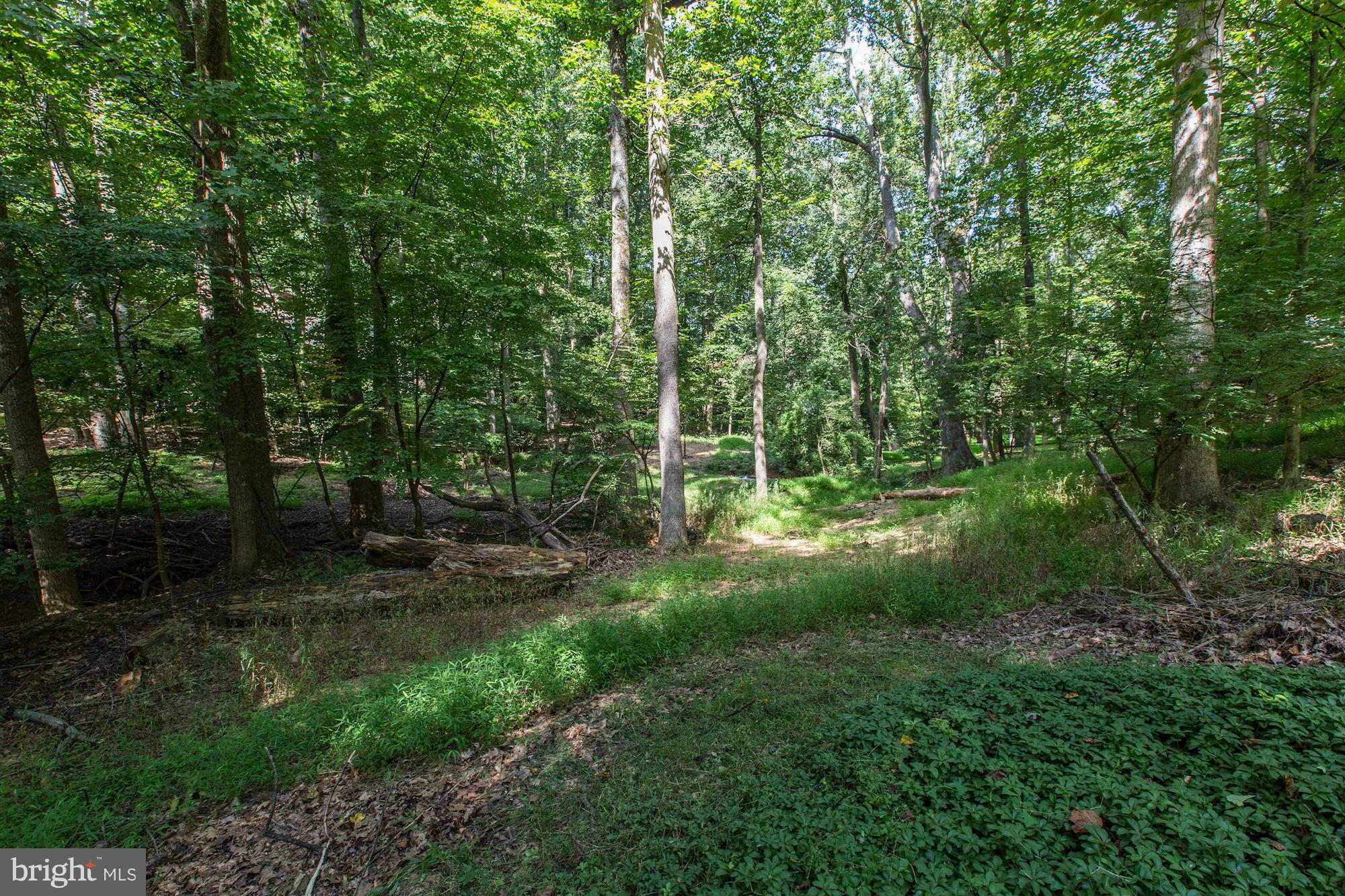 11824 Hunting Ridge Court Potomac, MD 20854 - Photo 28 of 28 Exterior (General)