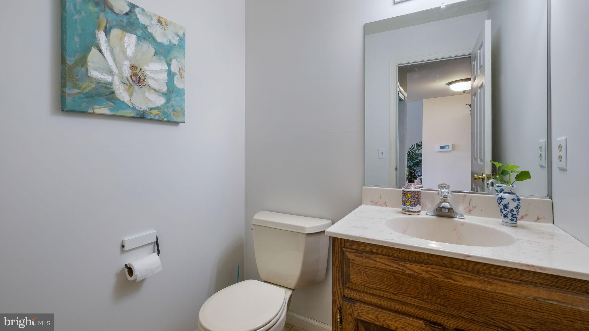 1135 Ferry Road Doylestown, PA 18901 - Photo 34 of 54 Half Bath