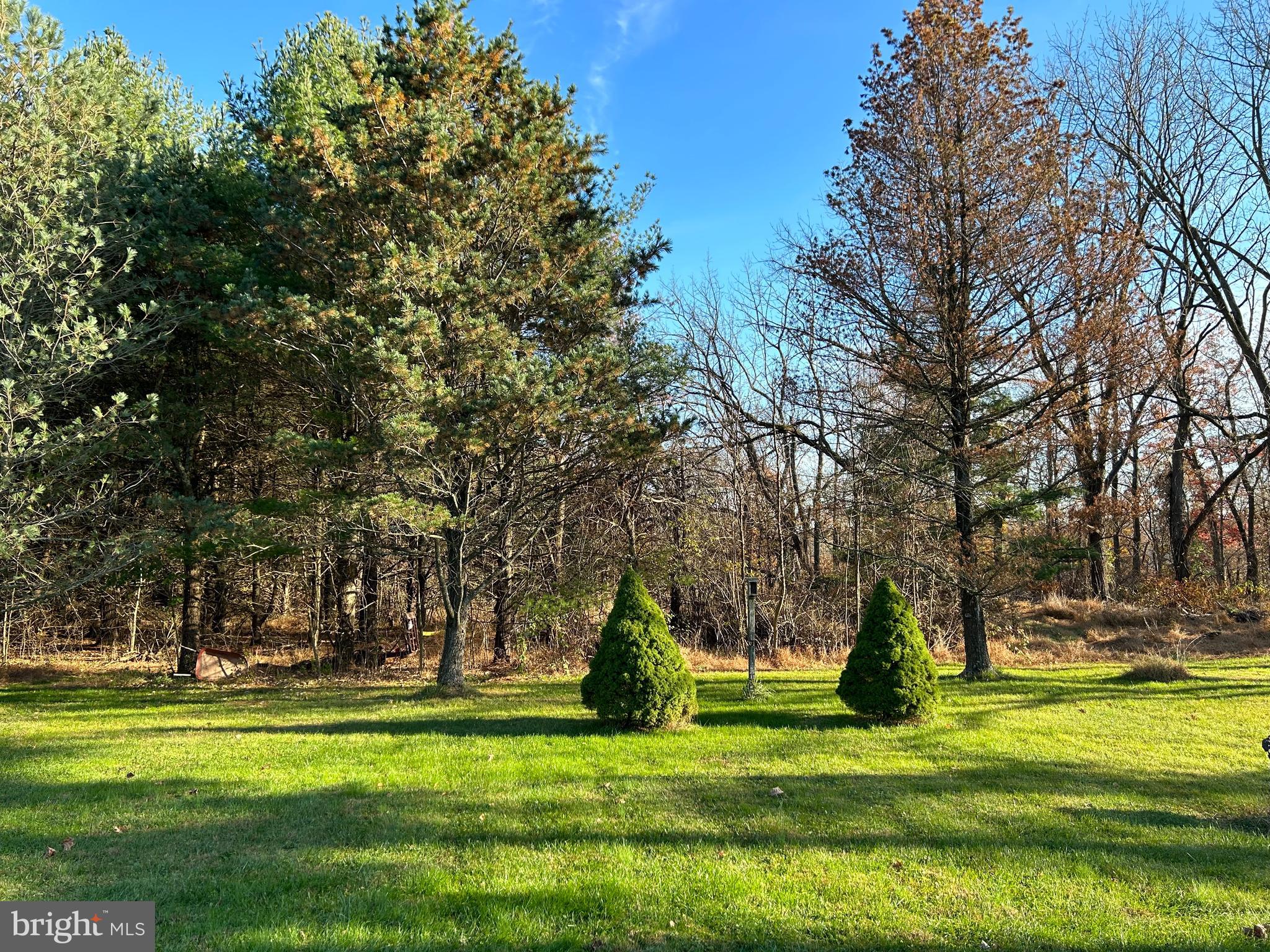 1135 Ferry Road Doylestown, PA 18901 - Photo 53 of 54