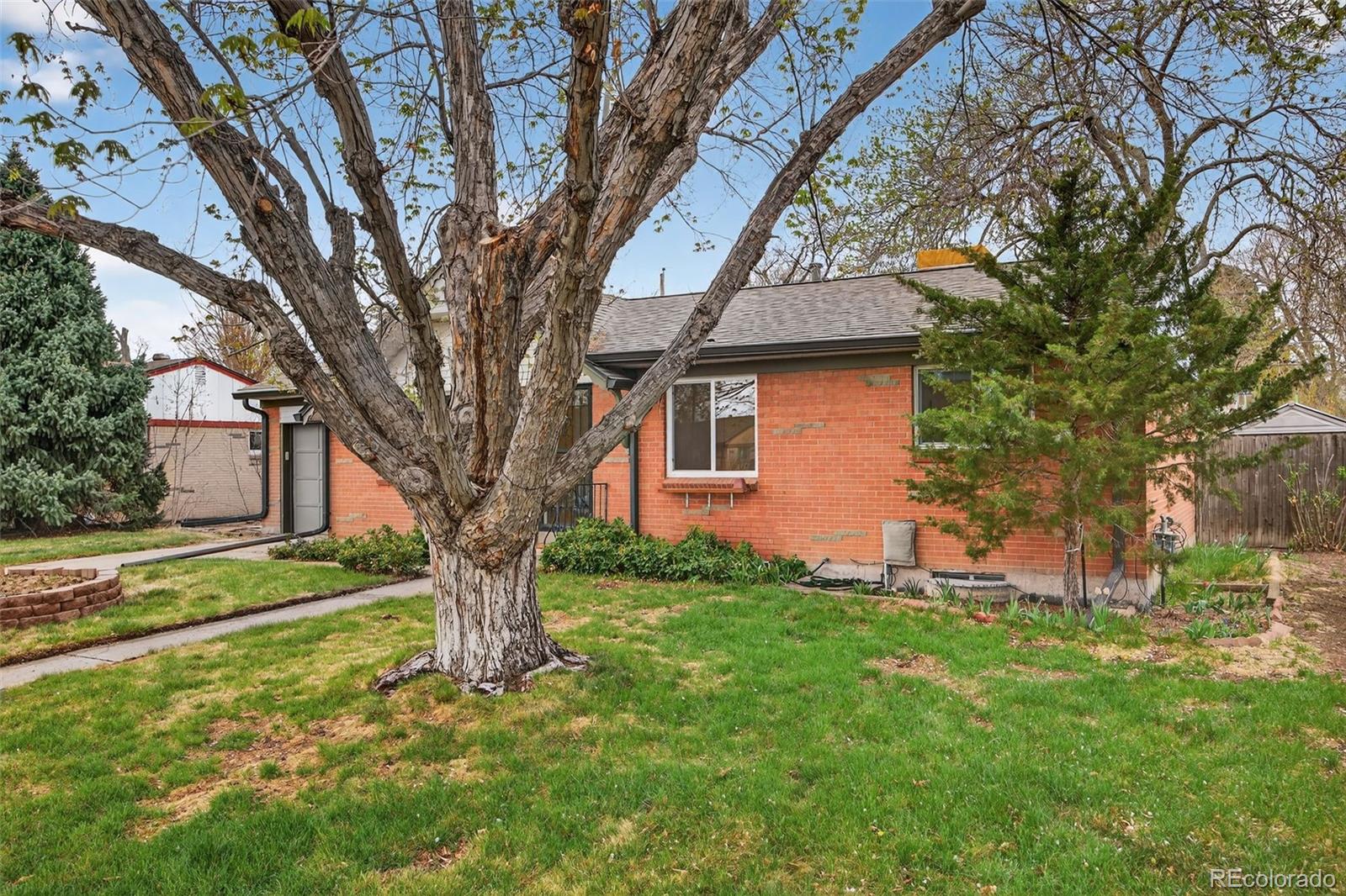 141 South Reed Street Lakewood, CO 80226 - Photo 4 of 41