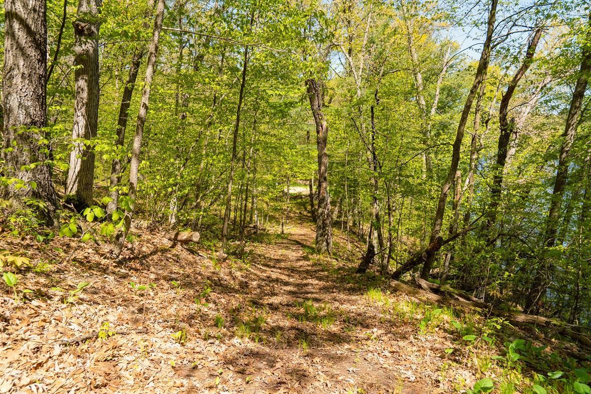 N4568 County Road North Arkansaw, WI 54721 - Photo 28 of 35
