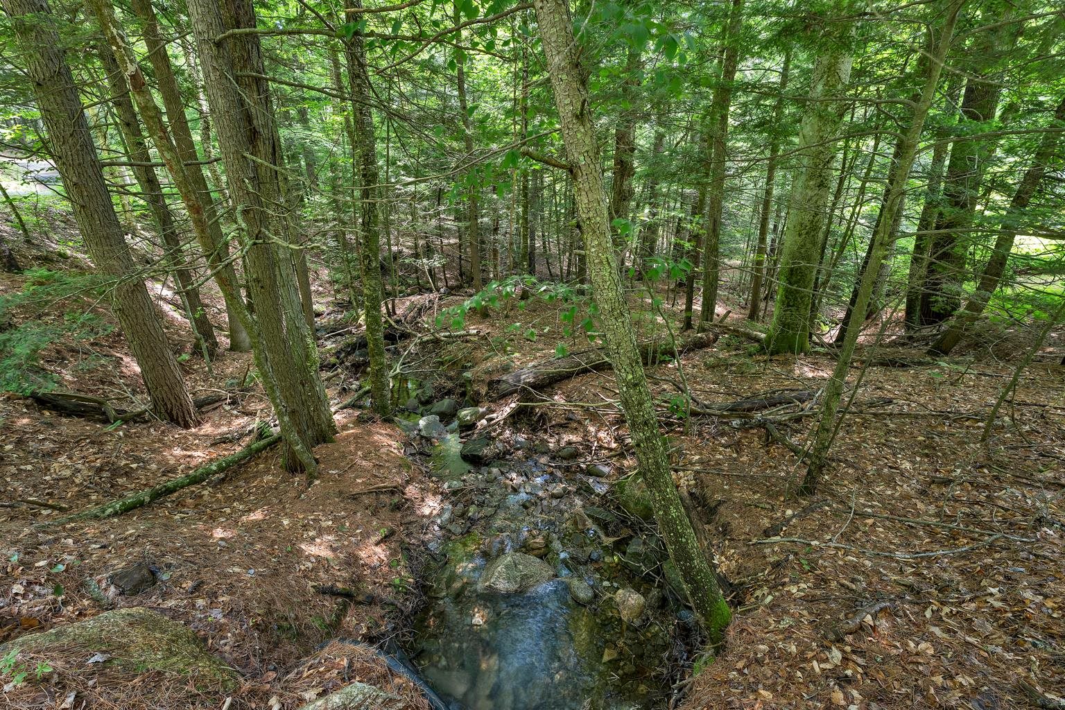 28 Cold Spring Road Thornton, NH 03285 - Photo 45 of 47
