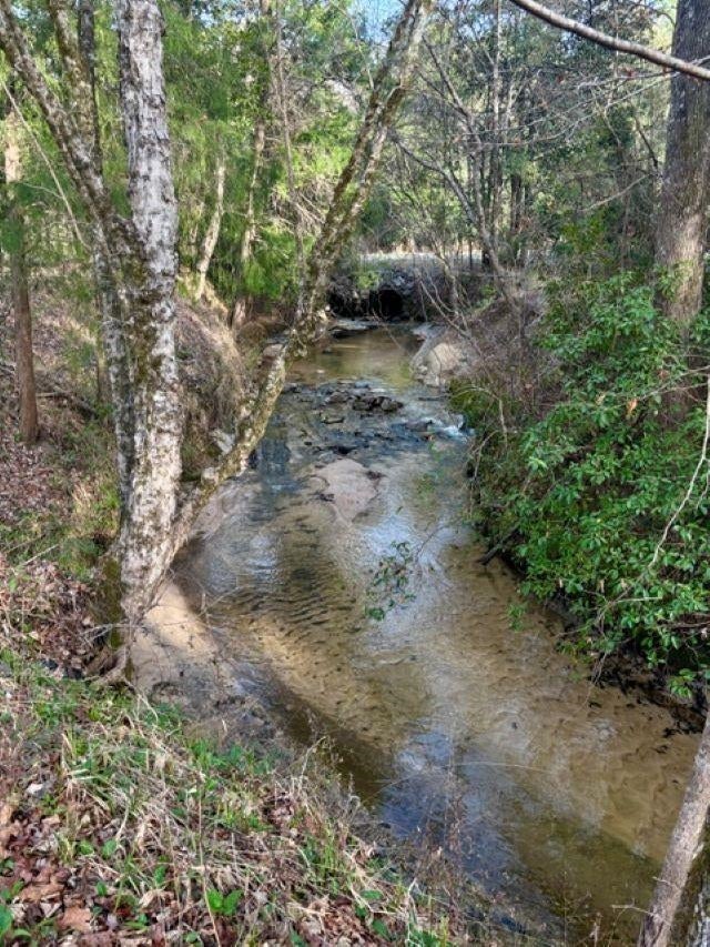 705 Cameron Road Red Level, AL 36474 - Photo 28 of 33 Gallery Image 28