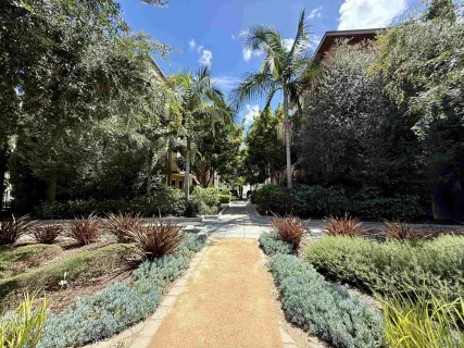 a view of a park with large trees
