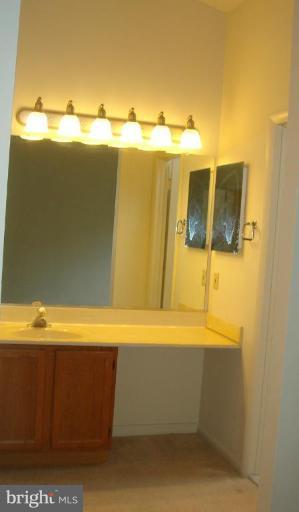 1646 Oak Spring Way Reston, VA 20190 - Photo 16 of 29 Master Bath