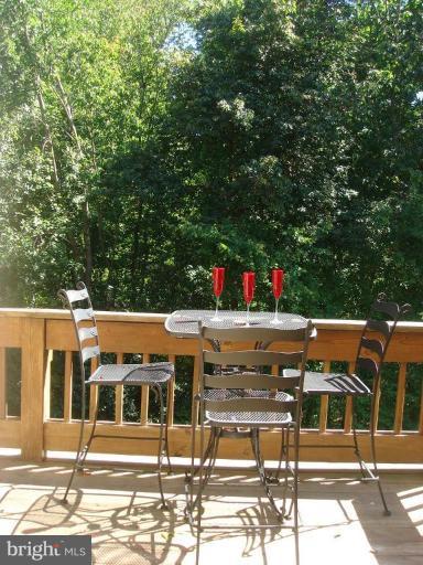 1646 Oak Spring Way Reston, VA 20190 - Photo 9 of 29 Deck
