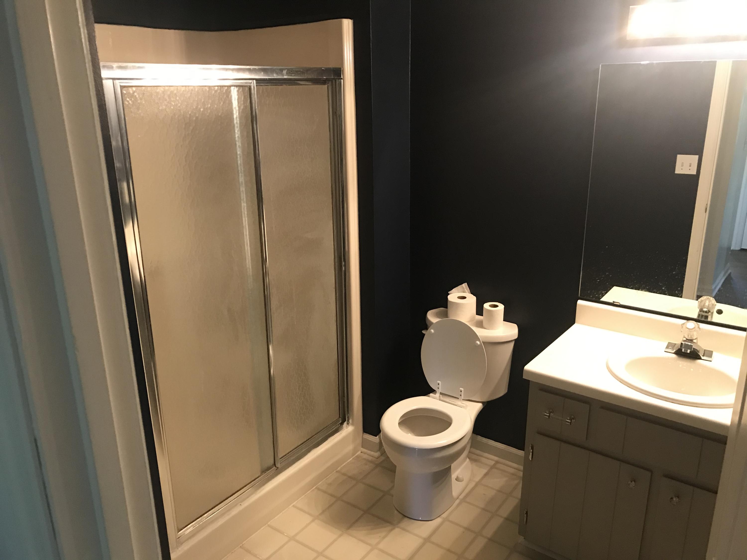53 Almond Circle Blue Ridge, VA 24064 - Photo 7 of 21 a bathroom with a sink mirror and toilet