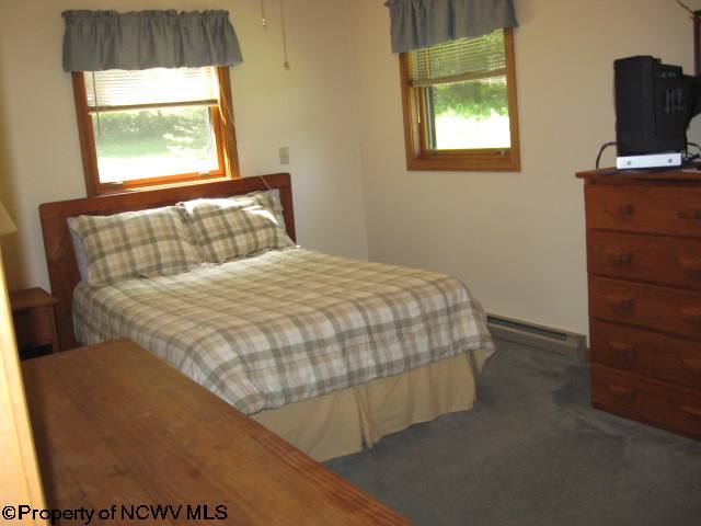 86 Snapping Turtle Lane Davis, WV 26260 - Photo 10 of 15 Gallery Image 10