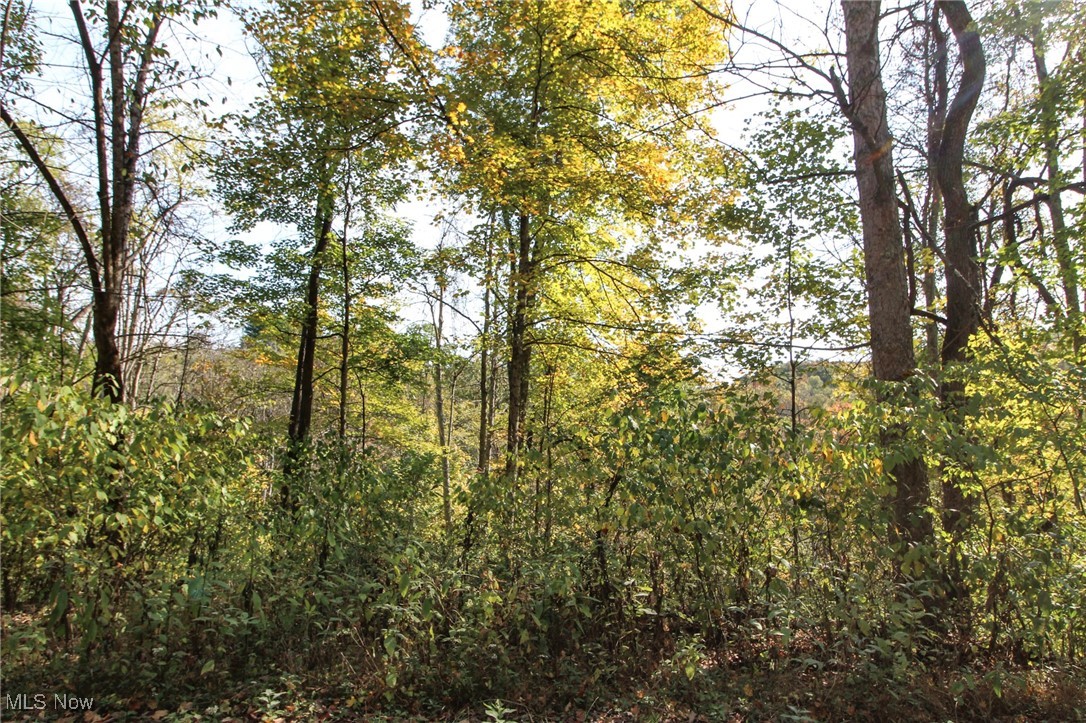 Lot 3 Brooks Road Reno, OH 45773 - Photo 8 of 17 View of tree filled area