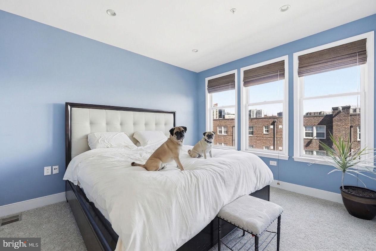 1511 North Rolfe Street, Unit A303 Arlington, VA 22209 - Photo 11 of 21 a bedroom with a large bed and a potted plant