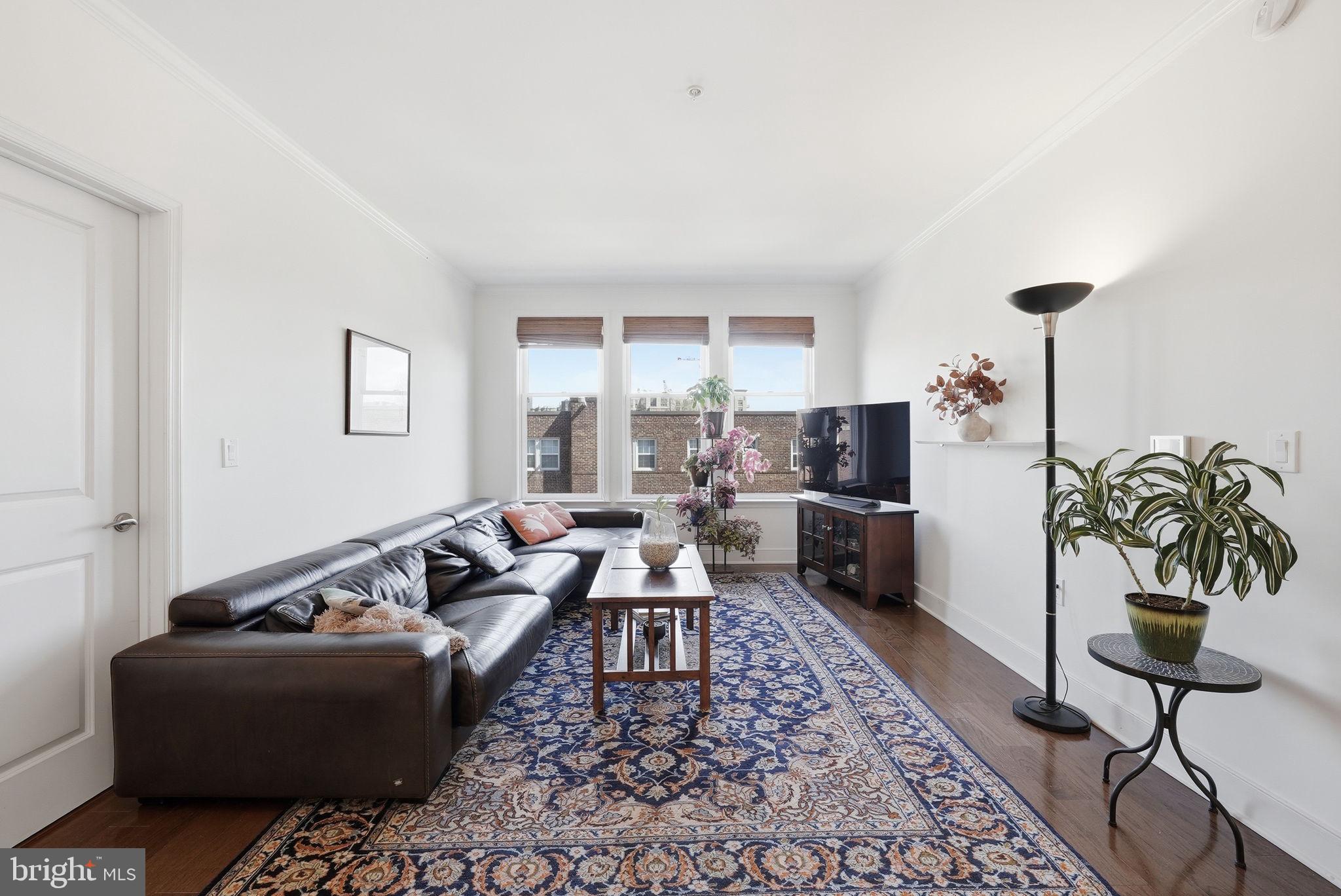 1511 North Rolfe Street, Unit A303 Arlington, VA 22209 - Photo 7 of 21 a living room with furniture and a potted plant