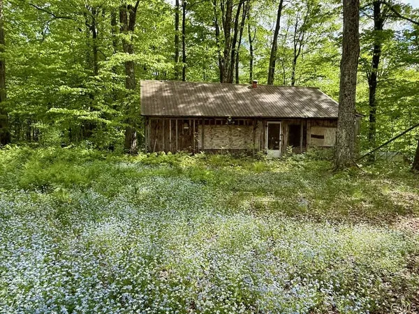 $28,500 | 37 Pennock Brook Drive, Unit E, Orwell, NY 13144