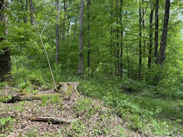 $28,500 | 37 Pennock Brook Drive, Unit E, Orwell, NY 13144