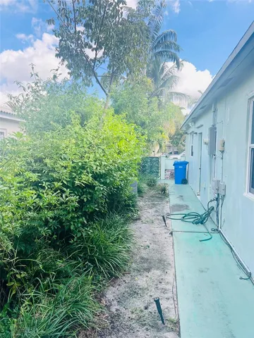 a view of a yard with plants and a large tree